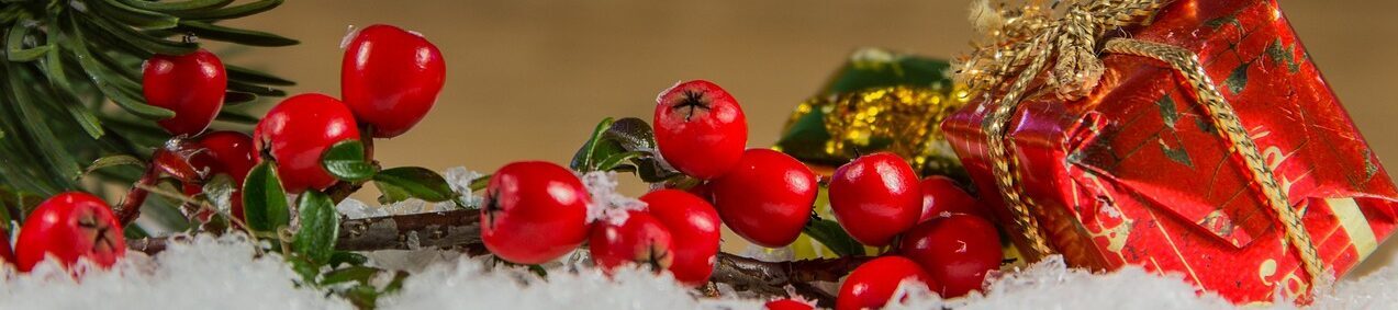 Steuerberatung Huemer